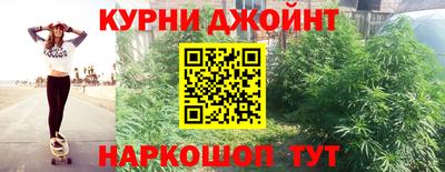 гашик Дубна