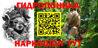 гашик Дубна