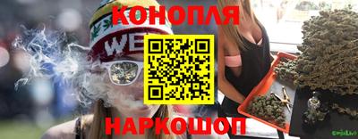 спиды Донской