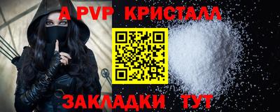 спиды Донской