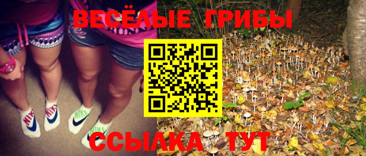 Галлюциногенные грибы Psilocybe  Вход с VPN  Галлюциногенные грибы Cubensis  Мурманск 