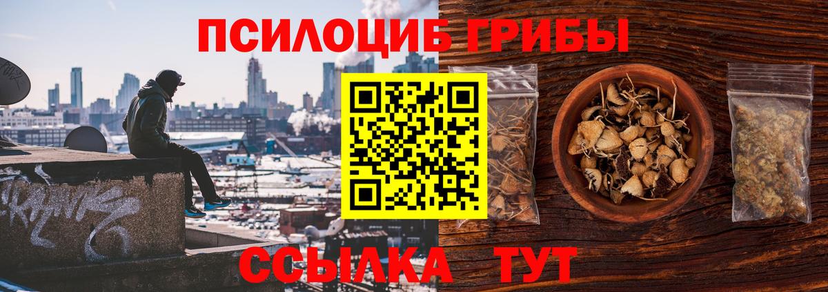 Галлюциногенные грибы GOLDEN TEACHER Мурманск